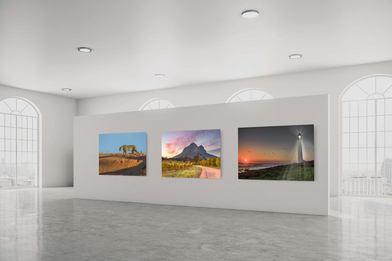 The Living Cape Exhibition