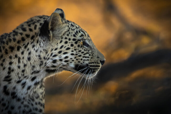 Ben ter Huurne Lifestyle Photography - Nature