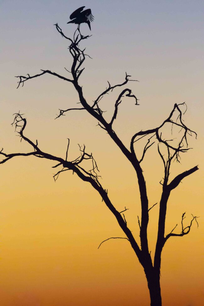 Ben ter Huurne Lifestyle Photography - Nature
