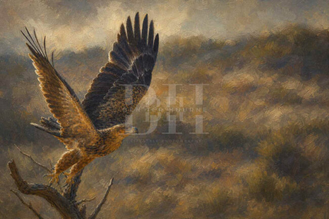 Kgalagadi, brown eagle taking off from branch.jpg