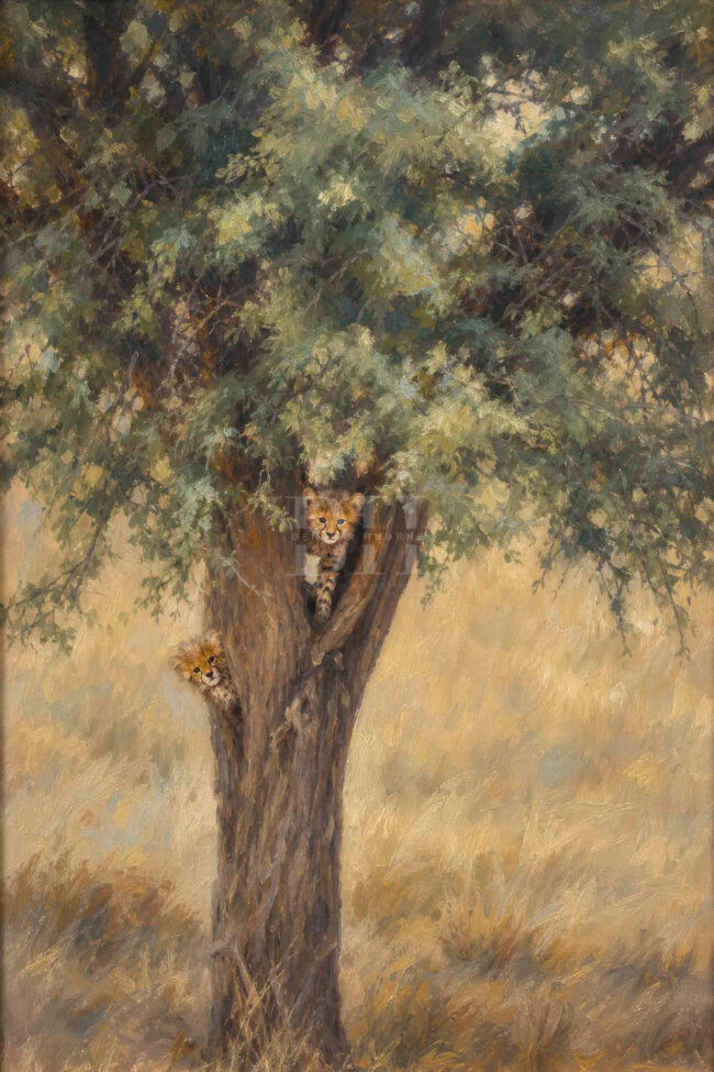 Kgalagadi, two cheetah cubs playing in tree.jpg